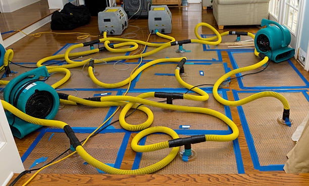 Professional Crawl Space Water Removal technician working in Inverness, FL